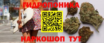 PSILOCYBIN Кандалакша